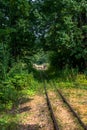 Old railway tracks in the forest with man on a bicycle Royalty Free Stock Photo